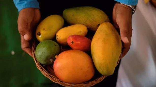 Fruit de la passion : plantation et cuisine