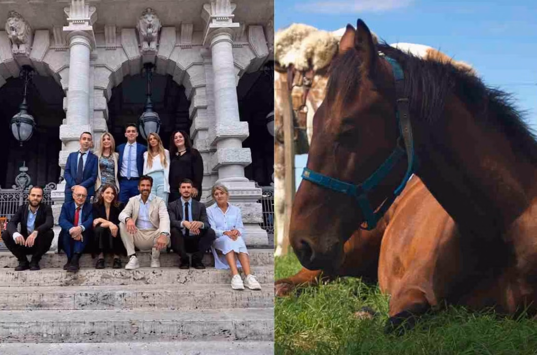 « Avec un cheval, la vérité s&rsquo;impose » : le parcours de Nathalie, ex-sommelière parisienne, vers une nouvelle vie en harmonie avec les chevaux